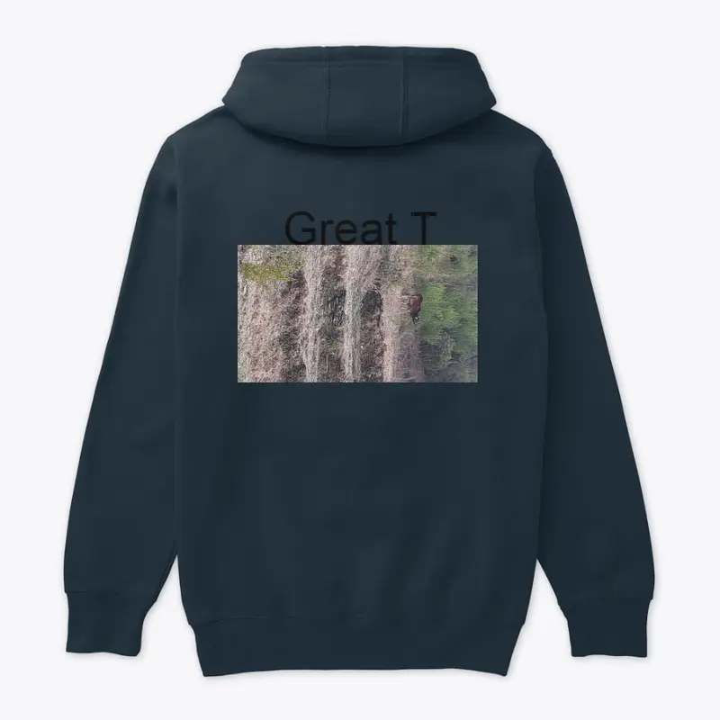 T Shrit great t Premium Pullover Hoodie